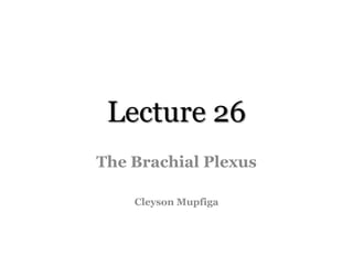 Lecture 26
The Brachial Plexus
Cleyson Mupfiga
 