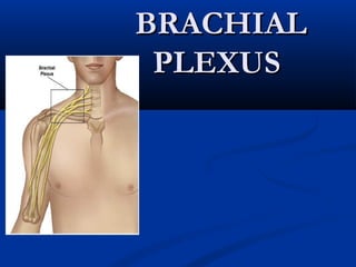 BRACHIALBRACHIAL
PLEXUSPLEXUS
 