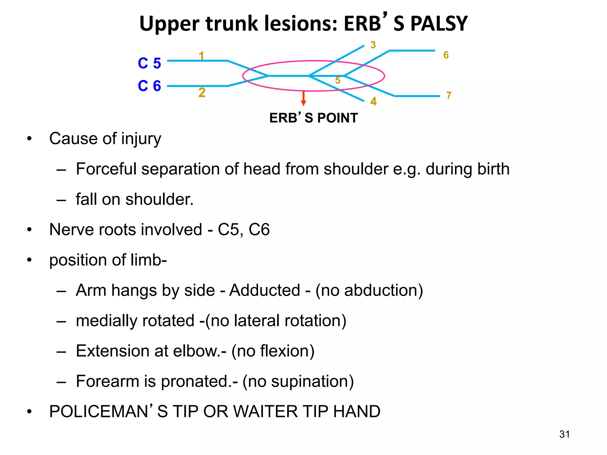 Upper trunk lesions: ERB’S PALSY
6
7
5
3
4
C 5
C 6
1
2
ERB’S POINT
• Cause of injury
– Forceful separation of head from shoulder e.g. during birth
– fall on shoulder.
• Nerve roots involved - C5, C6
• position of limb-
– Arm hangs by side - Adducted - (no abduction)
– medially rotated -(no lateral rotation)
– Extension at elbow.- (no flexion)
– Forearm is pronated.- (no supination)
• POLICEMAN’S TIP OR WAITER TIP HAND
31
 