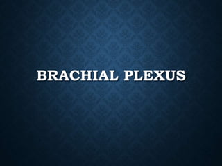 BRACHIAL PLEXUS
 
