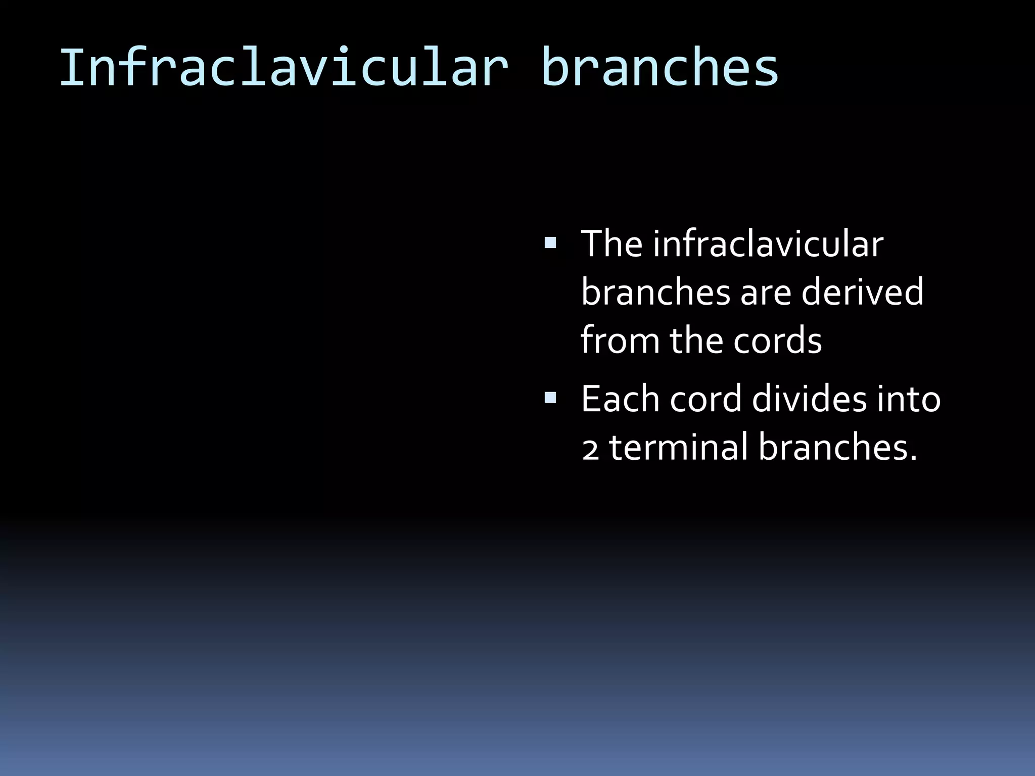 Infraclavicular branches
 The infraclavicular
branches are derived
from the cords
 Each cord divides into
2 terminal branches.
 