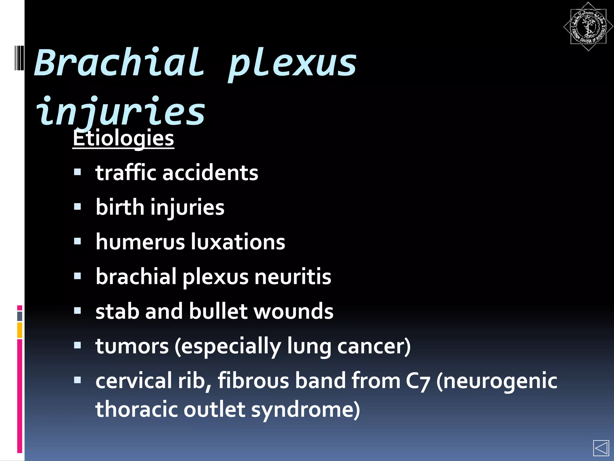 Brachial plexus
injuries
Etiologies
 traffic accidents
 birth injuries
 humerus luxations
 brachial plexus neuritis
 stab and bullet wounds
 tumors (especially lung cancer)
 cervical rib, fibrous band from C7 (neurogenic
thoracic outlet syndrome)
 