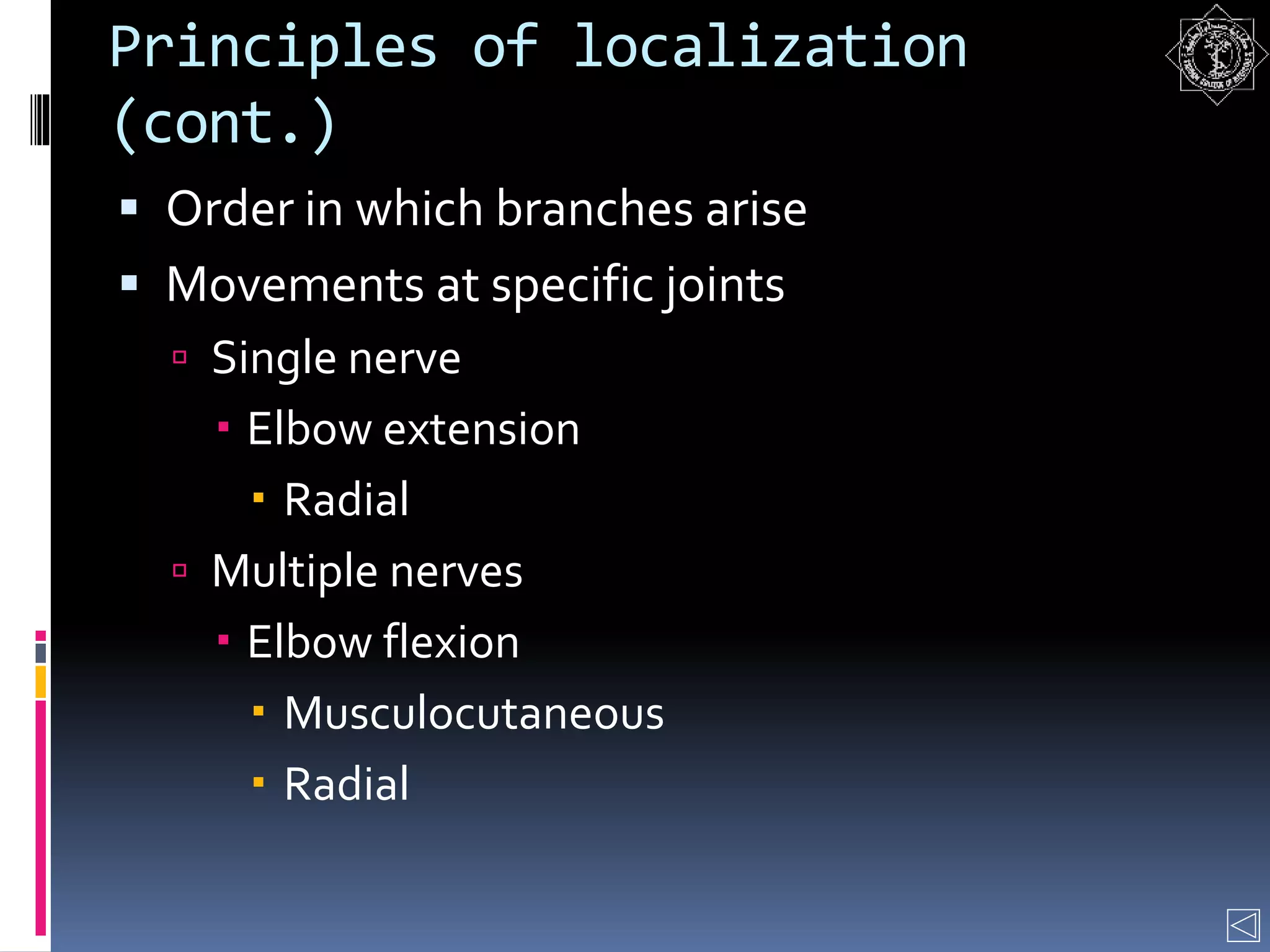 Principles of localization
(cont.)
 Order in which branches arise
 Movements at specific joints
 Single nerve
 Elbow extension
 Radial
 Multiple nerves
 Elbow flexion
 Musculocutaneous
 Radial
 