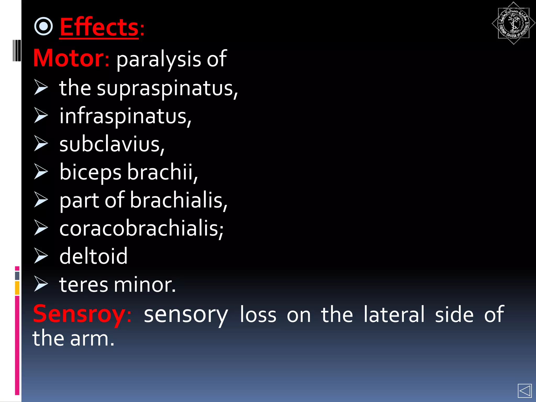  Effects:
Motor: paralysis of
 the supraspinatus,
 infraspinatus,
 subclavius,
 biceps brachii,
 part of brachialis,
 coracobrachialis;
 deltoid
 teres minor.
Sensroy: sensory loss on the lateral side of
the arm.
 