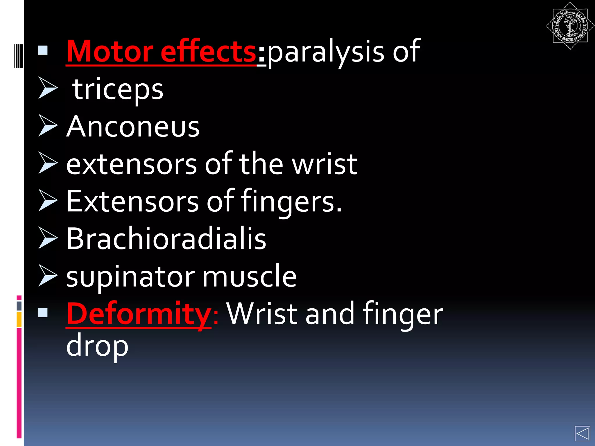 Motor effects:paralysis of
 triceps
 Anconeus
 extensors of the wrist
 Extensors of fingers.
 Brachioradialis
 supinator muscle
 Deformity: Wrist and finger
drop
 