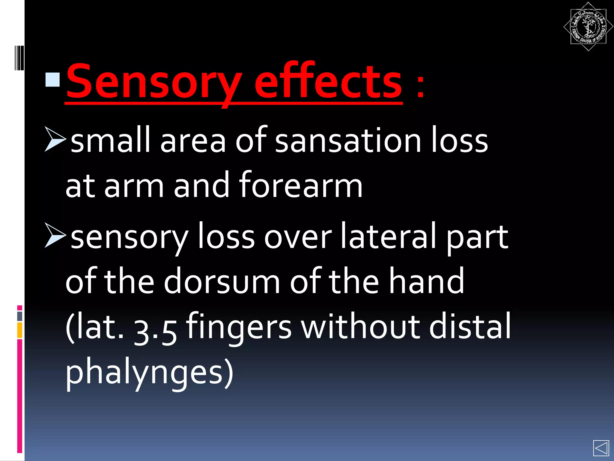 Sensory effects :
small area of sansation loss
at arm and forearm
sensory loss over lateral part
of the dorsum of the hand
(lat. 3.5 fingers without distal
phalynges)
 