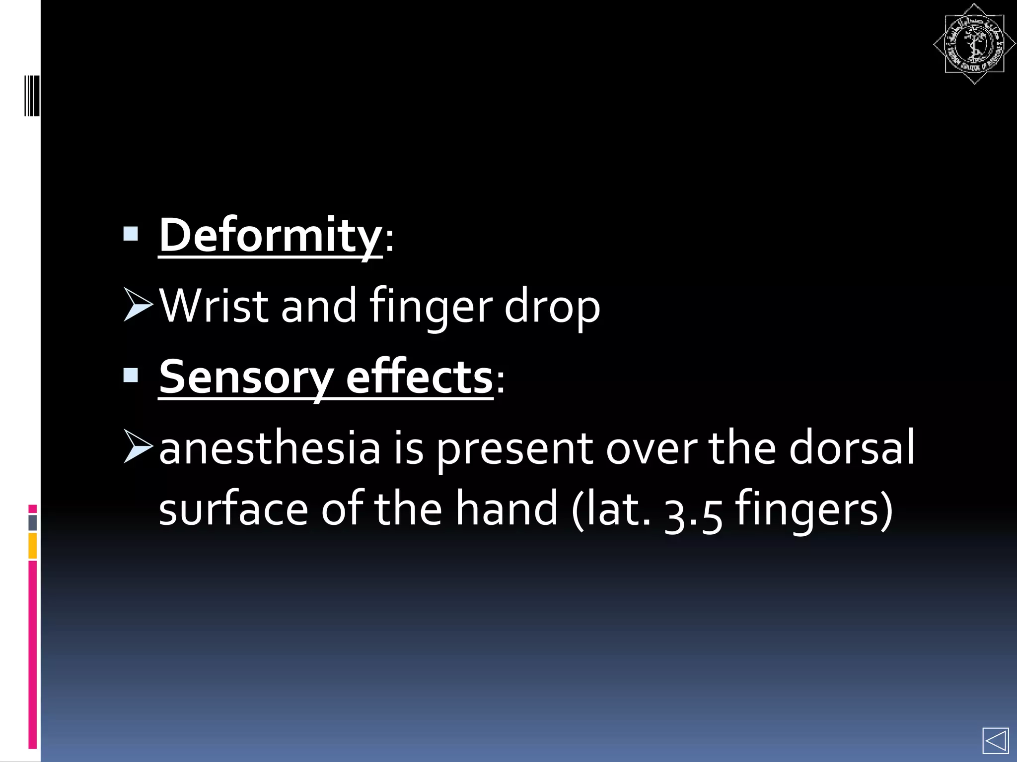  Deformity:
Wrist and finger drop
 Sensory effects:
anesthesia is present over the dorsal
surface of the hand (lat. 3.5 fingers)
 