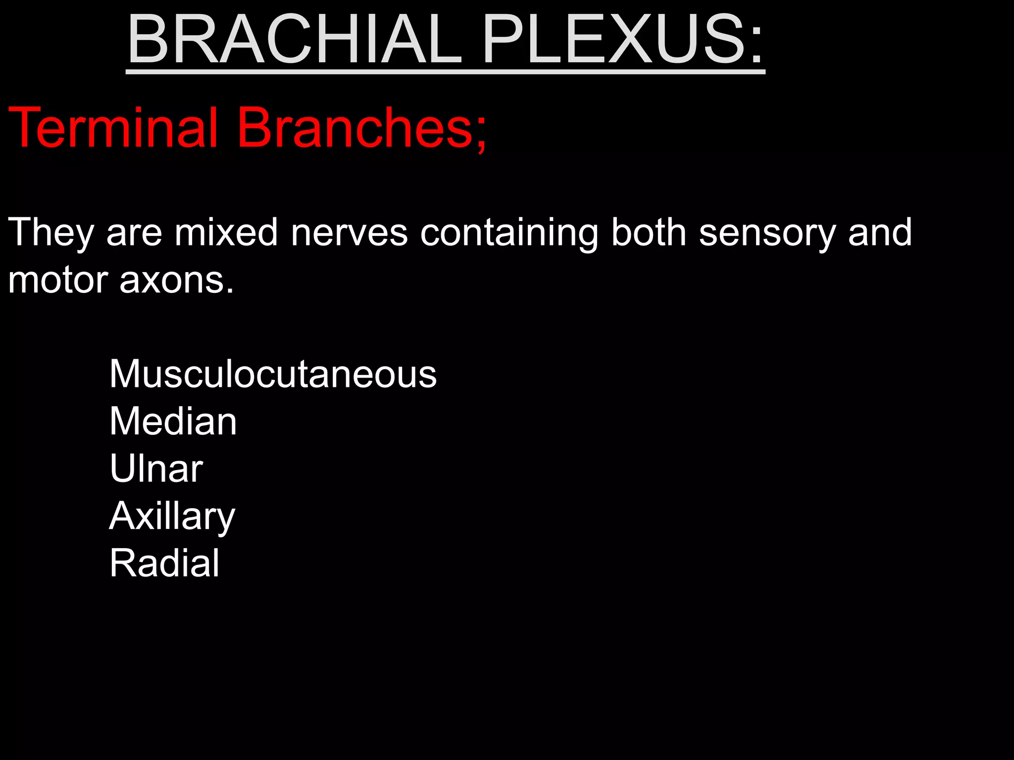 BRACHIAL PLEXUS:
Terminal Branches;
They are mixed nerves containing both sensory and
motor axons.
Musculocutaneous
Median
Ulnar
Axillary
Radial
 