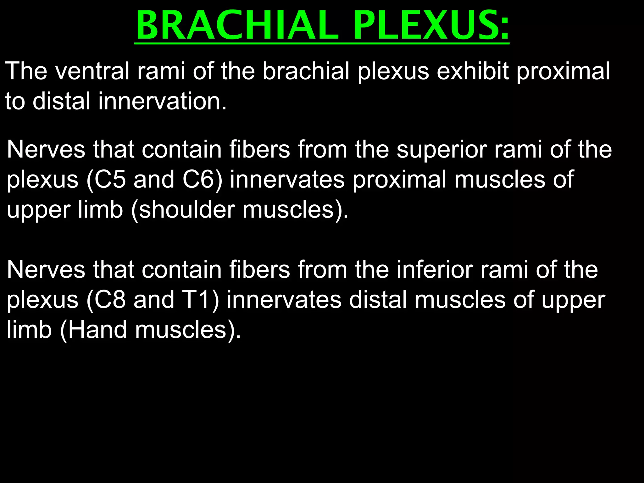 BRACHIAL PLEXUS:
Nerves that contain fibers from the superior rami of the
plexus (C5 and C6) innervates proximal muscles of
upper limb (shoulder muscles).
Nerves that contain fibers from the inferior rami of the
plexus (C8 and T1) innervates distal muscles of upper
limb (Hand muscles).
The ventral rami of the brachial plexus exhibit proximal
to distal innervation.
 
