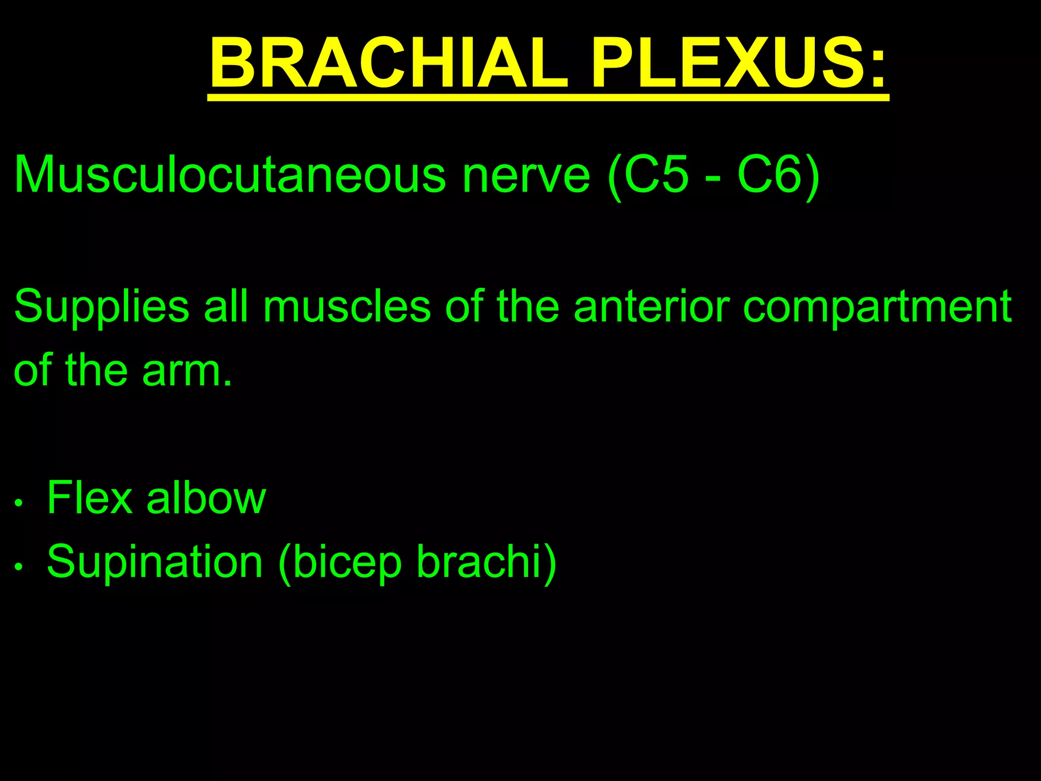 BRACHIAL PLEXUS:
Musculocutaneous nerve (C5 - C6)
Supplies all muscles of the anterior compartment
of the arm.
• Flex albow
• Supination (bicep brachi)
 