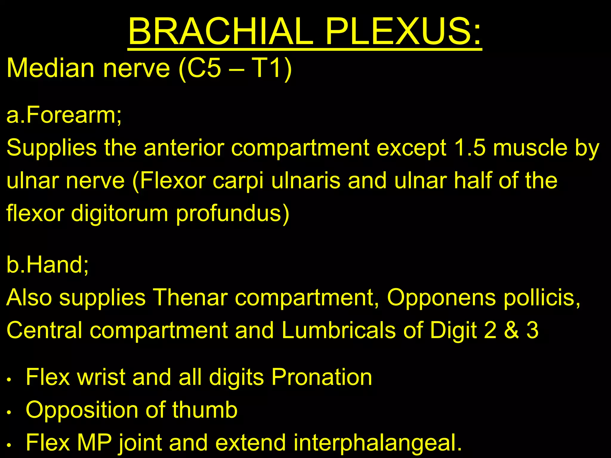 BRACHIAL PLEXUS:
Median nerve (C5 – T1)
a.Forearm;
Supplies the anterior compartment except 1.5 muscle by
ulnar nerve (Flexor carpi ulnaris and ulnar half of the
flexor digitorum profundus)
b.Hand;
Also supplies Thenar compartment, Opponens pollicis,
Central compartment and Lumbricals of Digit 2 & 3
• Flex wrist and all digits Pronation
• Opposition of thumb
• Flex MP joint and extend interphalangeal.
 
