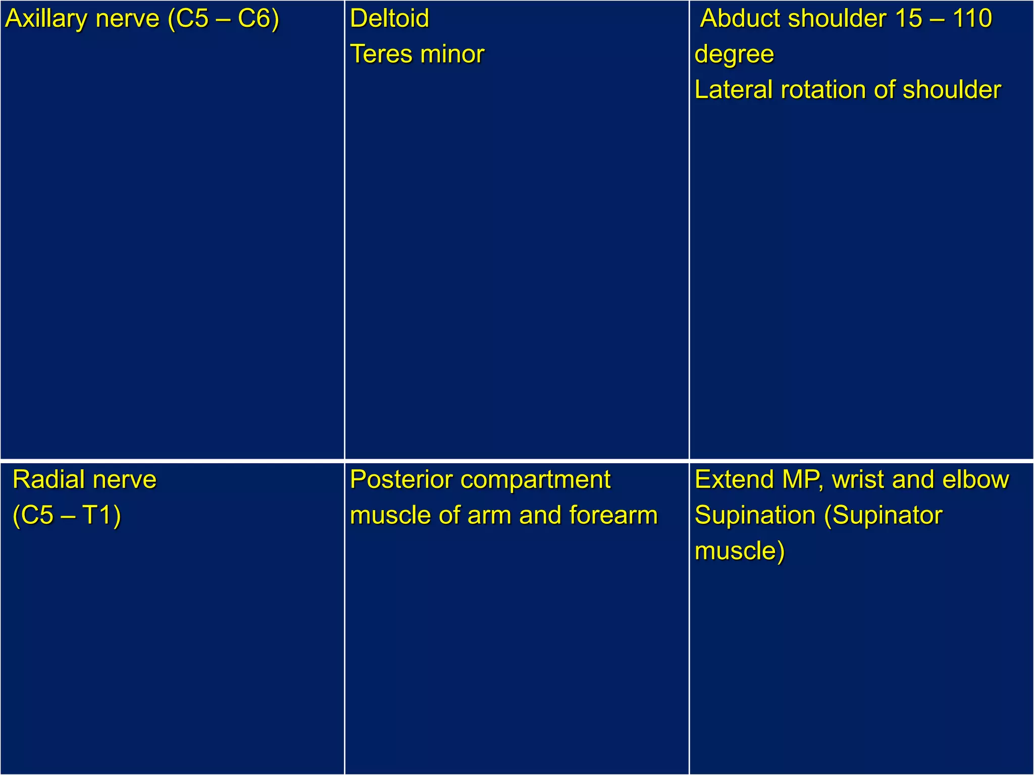 Axillary nerve (C5 – C6) Deltoid
Teres minor
Abduct shoulder 15 – 110
degree
Lateral rotation of shoulder
Radial nerve
(C5 – T1)
Posterior compartment
muscle of arm and forearm
Extend MP, wrist and elbow
Supination (Supinator
muscle)
 