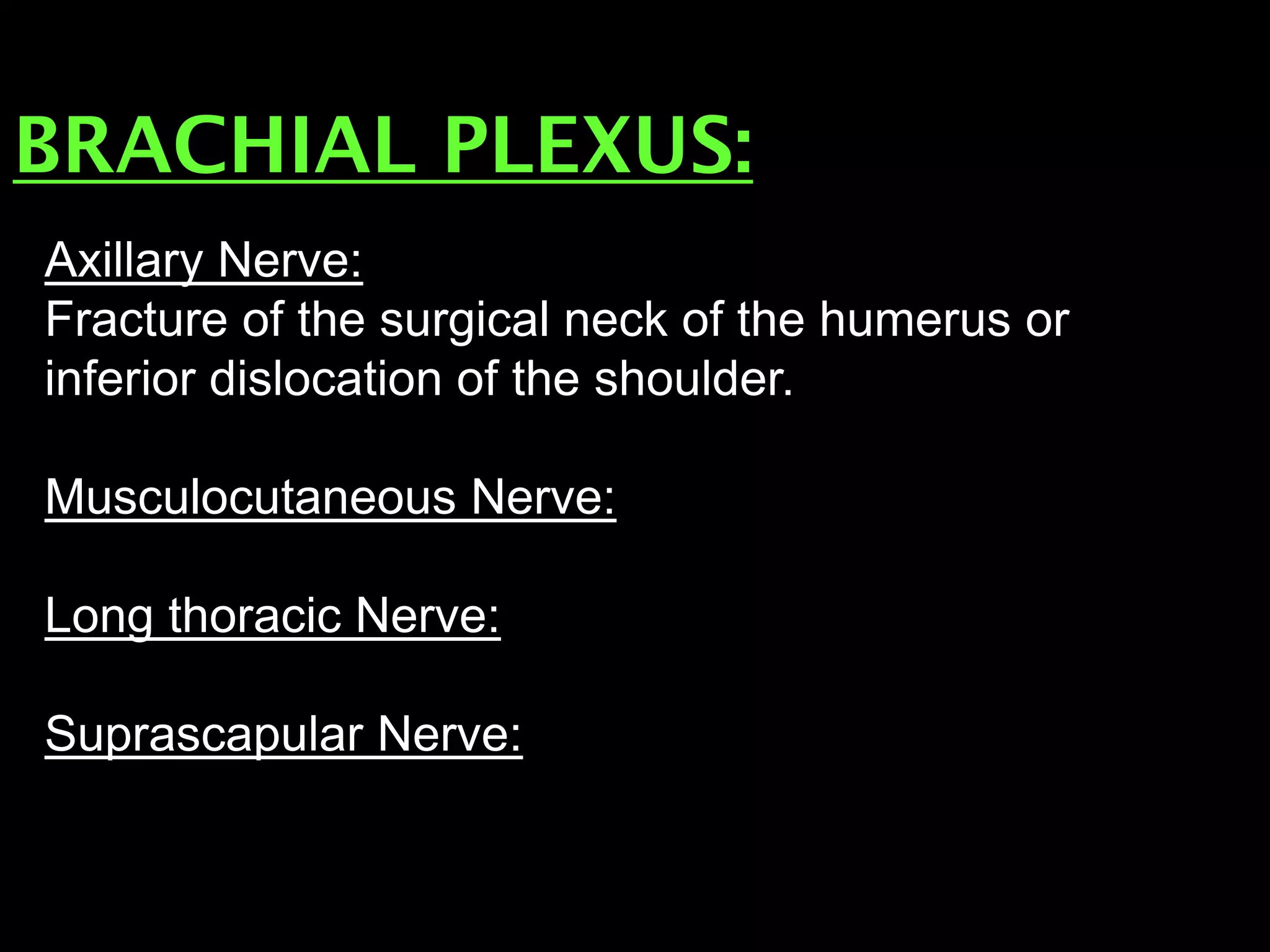 BRACHIAL PLEXUS:
Axillary Nerve:
Fracture of the surgical neck of the humerus or
inferior dislocation of the shoulder.
Musculocutaneous Nerve:
Long thoracic Nerve:
Suprascapular Nerve:
 