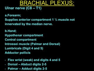 BRACHIAL PLEXUS:
Ulnar nerve (C8 – T1)
a.Forearm;
Supplies anterior compartment 1 ½ muscle not
innervated by the median nerve.
b.Hand;
Hypothenar compartment
Central compartment
Introssei muscle (Palmar and Dorsal)
Lumbricals (Digit 4 and 5)
Adductor pollicis
• Flex wrist (weak) and digits 4 and 5
• Dorsal – Abduct digits 2-5
• Palmar – Adduct digits 2-5
 