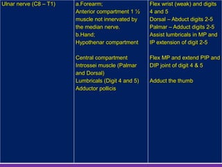 Ulnar nerve (C8 – T1) a.Forearm;
Anterior compartment 1 ½
muscle not innervated by
the median nerve.
b.Hand;
Hypothenar compartment
Central compartment
Introssei muscle (Palmar
and Dorsal)
Lumbricals (Digit 4 and 5)
Adductor pollicis
Flex wrist (weak) and digits
4 and 5
Dorsal – Abduct digits 2-5
Palmar – Adduct digits 2-5
Assist lumbricals in MP and
IP extension of digit 2-5
Flex MP and extend PIP and
DIP joint of digit 4 & 5
Adduct the thumb
 