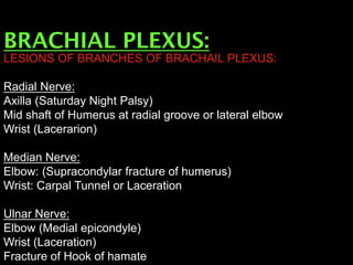 BRACHIAL PLEXUS:
LESIONS OF BRANCHES OF BRACHAIL PLEXUS:
Radial Nerve:
Axilla (Saturday Night Palsy)
Mid shaft of Humerus at radial groove or lateral elbow
Wrist (Lacerarion)
Median Nerve:
Elbow: (Supracondylar fracture of humerus)
Wrist: Carpal Tunnel or Laceration
Ulnar Nerve:
Elbow (Medial epicondyle)
Wrist (Laceration)
Fracture of Hook of hamate
 