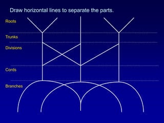Draw horizontal lines to separate the parts.
Roots
Trunks
Divisions
Cords
Branches
 