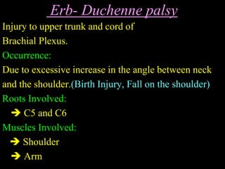 Erb- Duchenne palsy
Injury to upper trunk and cord of
Brachial Plexus.
Occurrence:
Due to excessive increase in the angle between neck
and the shoulder.(Birth Injury, Fall on the shoulder)
Roots Involved:
 C5 and C6
Muscles Involved:
 Shoulder
 Arm
 