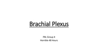 Brachial Plexus
PBL Group 4
Horrible 48 Hours
 