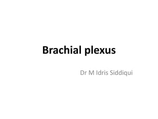 Brachial plexus
Dr M Idris Siddiqui
 