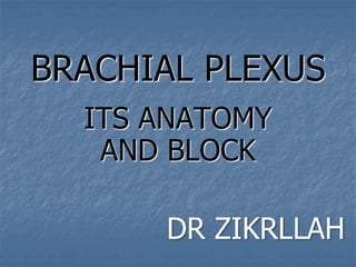 BRACHIAL PLEXUS
ITS ANATOMY
AND BLOCK
DR ZIKRLLAH
 