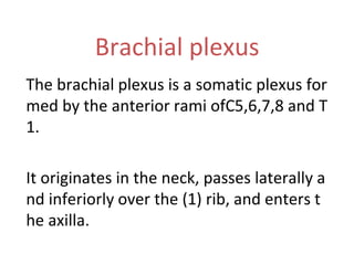 Brachial plexus
The brachial plexus is a somatic plexus for
med by the anterior rami ofC5,6,7,8 and T
1.
It originates in the neck, passes laterally a
nd inferiorly over the (1) rib, and enters t
he axilla.
 
