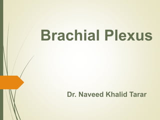 Brachial Plexus
Dr. Naveed Khalid Tarar
 