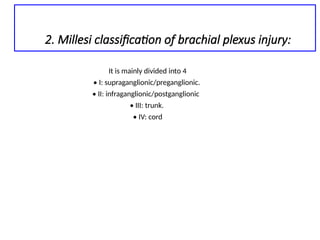 Brachial plexus anatomy presentation ppt | PPTX
