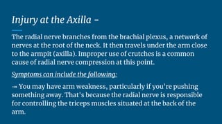 Axilla Compression Back Brachial plexus and peripheral nerve injuries.pptx