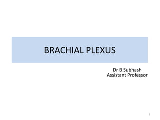 BRACHIAL PLEXUS
1
Dr B Subhash
Assistant Professor
 