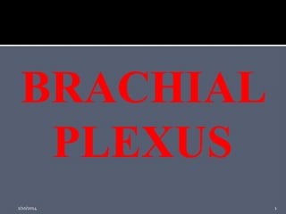 BRACHIAL
PLEXUS
2/10/2014

1

 
