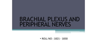 BRACHIAL PLEXUS AND
PERIPHERAL NERVES
• ROLL NO : 1821 - 1830
 