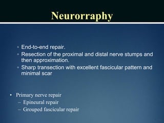 Neurorraphy
◦ End-to-end repair.
◦ Resection of the proximal and distal nerve stumps and
then approximation.
◦ Sharp transection with excellent fascicular pattern and
minimal scar
• Primary nerve repair
– Epineural repair
– Grouped fascicular repair
 