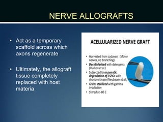 NERVE ALLOGRAFTS
• Act as a temporary
scaffold across which
axons regenerate
• Ultimately, the allograft
tissue completely
replaced with host
materia
 