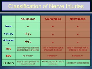 Classification of Nerve Injuries
Neurapraxia Axonotmesis Neurotmesis
Motor
- - -
Sensory
+/- - -
Autonomi
c +/- - -
NCS
Conduction block at the site
Distal conduction preserved
Loss of conduction both at
and distal to the lesion
Loss of conduction both at
and distal to the lesion
EMG No fibrillation Fibrillation ++ Fibrillation ++
Recovery
Days to weeks provided the
cause is removed
Months provided the cause
is removed
No recovery unless repaired
 