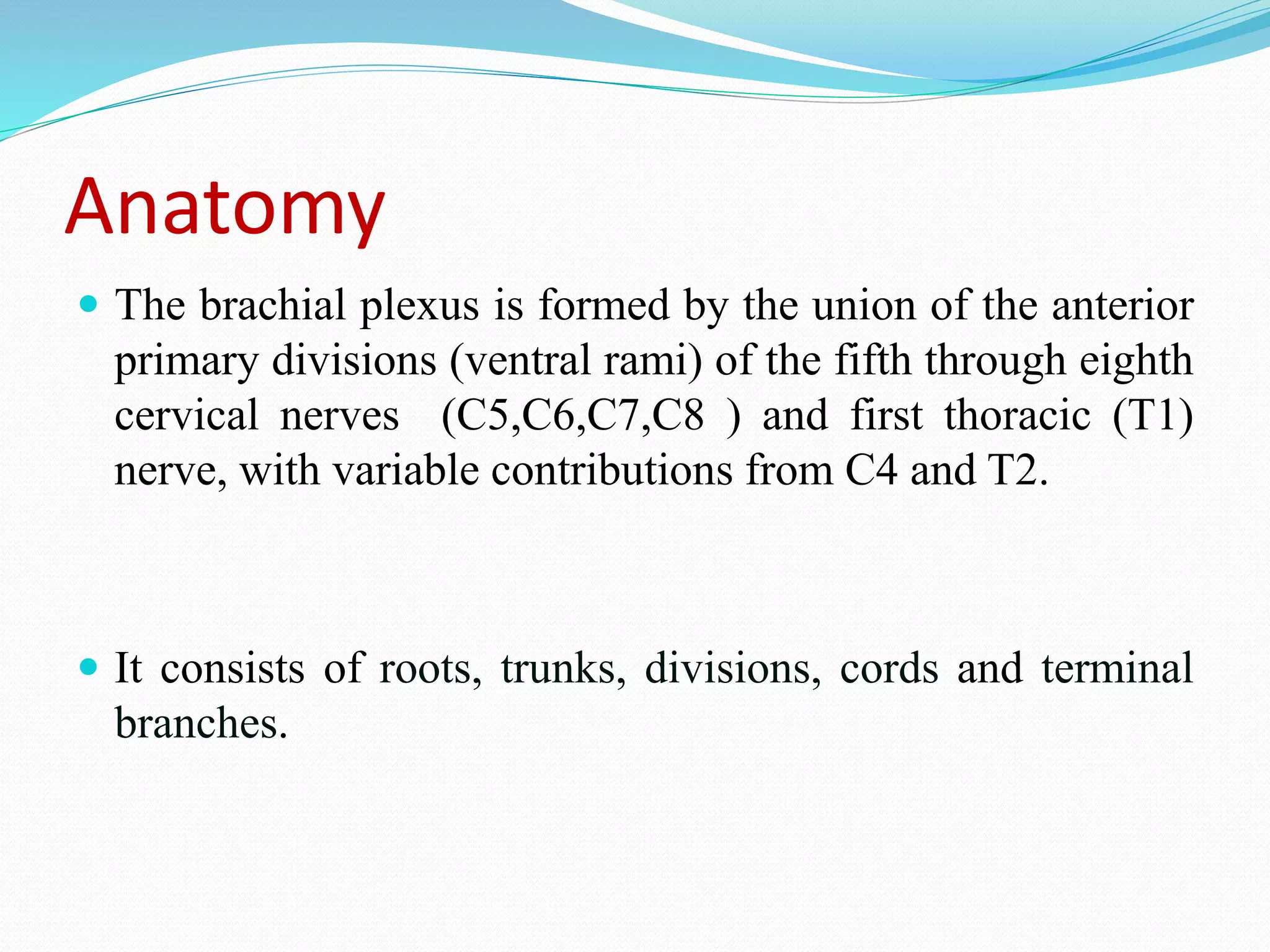 Anatomy
 The brachial plexus is formed by the union of the anterior
primary divisions (ventral rami) of the fifth through eighth
cervical nerves (C5,C6,C7,C8 ) and first thoracic (T1)
nerve, with variable contributions from C4 and T2.
 It consists of roots, trunks, divisions, cords and terminal
branches.
 