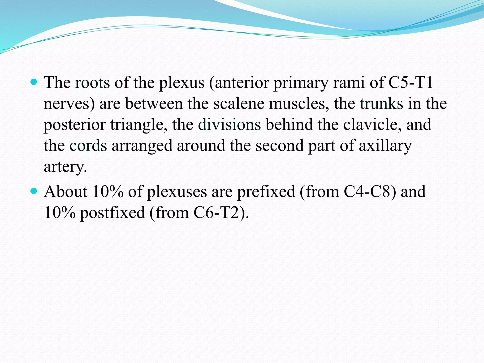  The roots of the plexus (anterior primary rami of C5-T1
nerves) are between the scalene muscles, the trunks in the
posterior triangle, the divisions behind the clavicle, and
the cords arranged around the second part of axillary
artery.
 About 10% of plexuses are prefixed (from C4-C8) and
10% postfixed (from C6-T2).
 