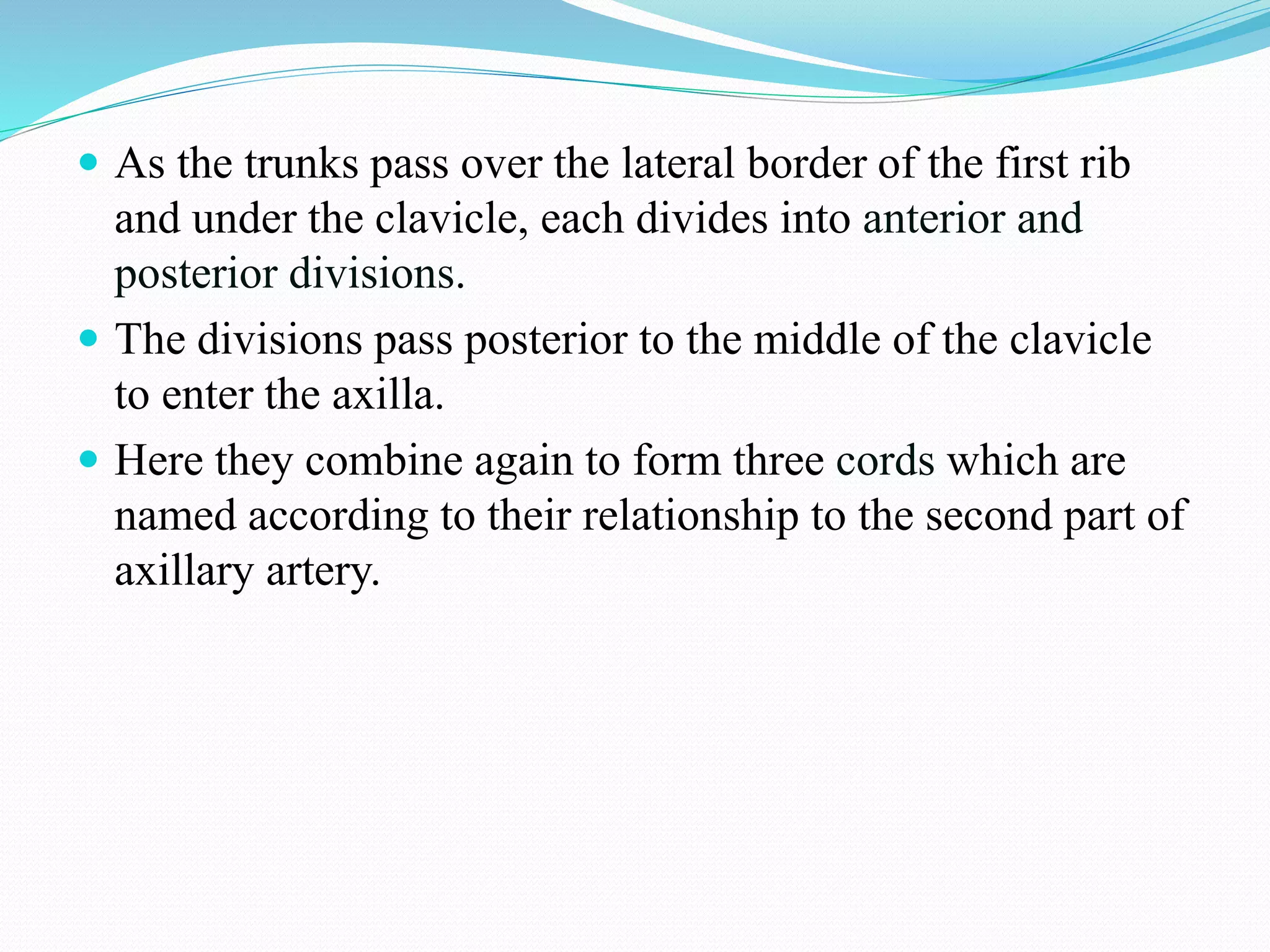  As the trunks pass over the lateral border of the first rib
and under the clavicle, each divides into anterior and
posterior divisions.
 The divisions pass posterior to the middle of the clavicle
to enter the axilla.
 Here they combine again to form three cords which are
named according to their relationship to the second part of
axillary artery.
 