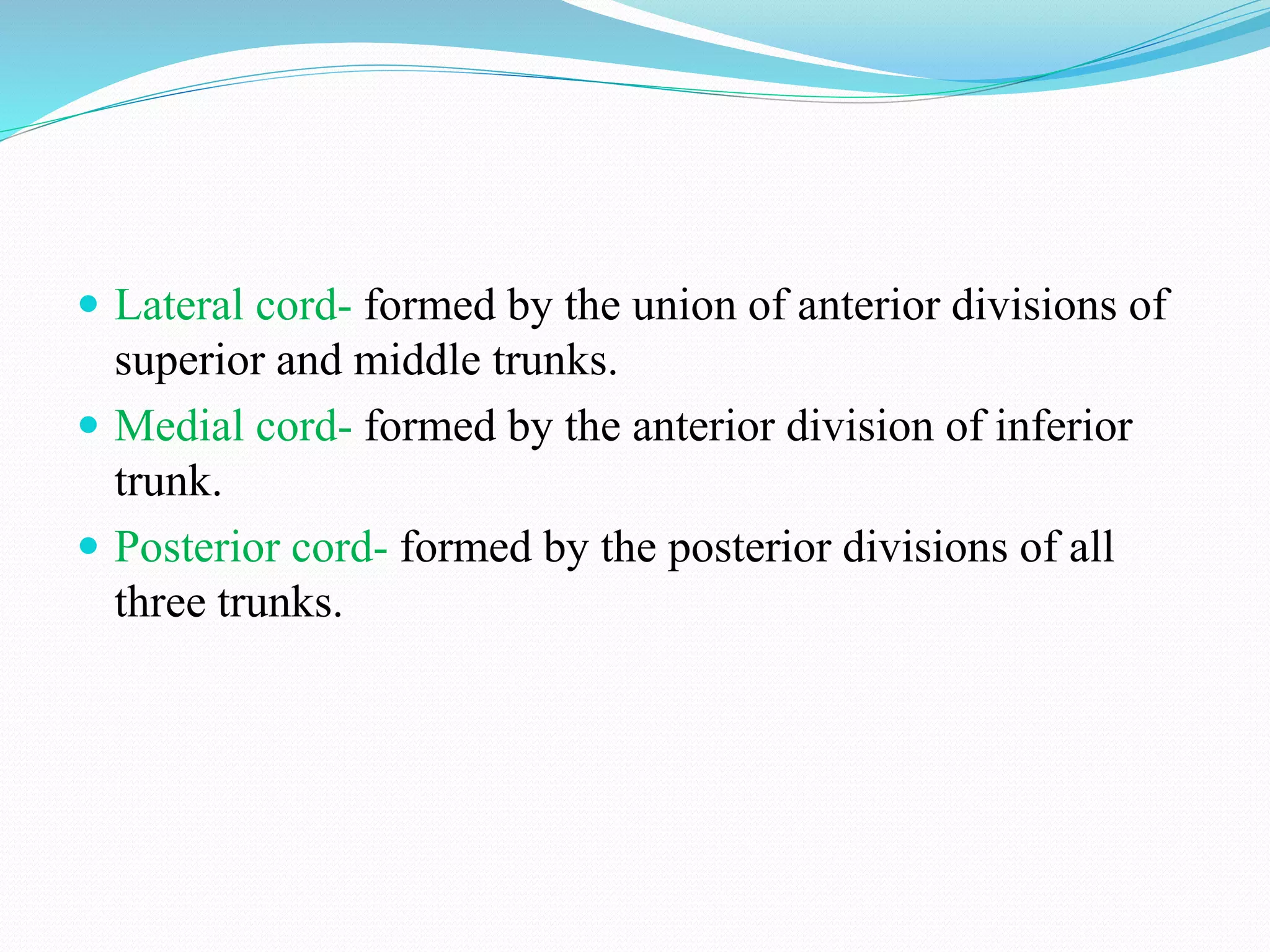  Lateral cord- formed by the union of anterior divisions of
superior and middle trunks.
 Medial cord- formed by the anterior division of inferior
trunk.
 Posterior cord- formed by the posterior divisions of all
three trunks.
 