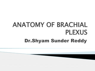 ANATOMY OF BRACHIAL
PLEXUS
Dr.Shyam Sunder Reddy
 
