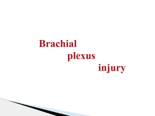 brachial plexus final.pptx