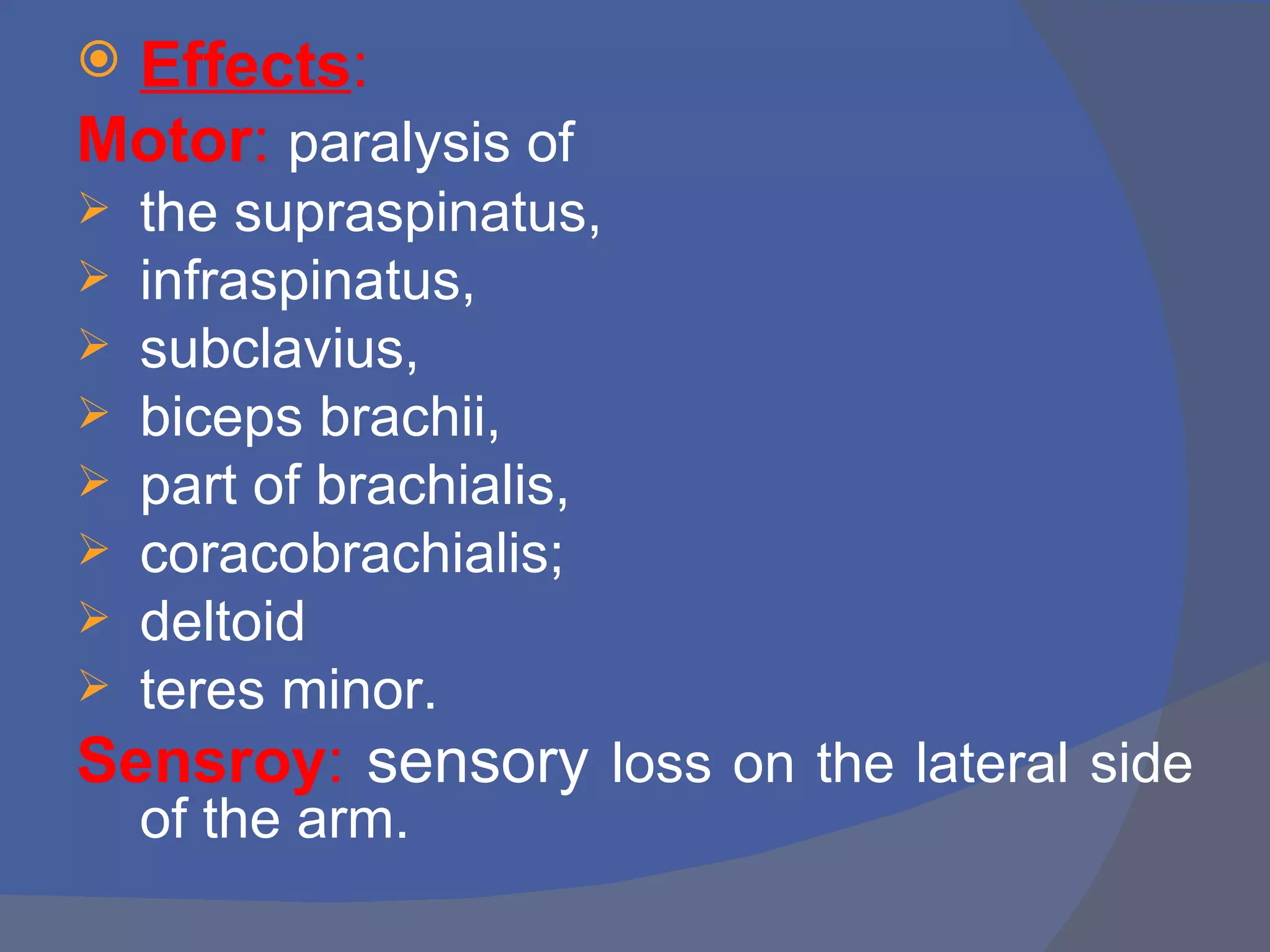 Effects:
Motor: paralysis of
   the supraspinatus,
   infraspinatus,
   subclavius,
   biceps brachii,
   part of brachialis,
   coracobrachialis;
   deltoid
   teres minor.
Sensroy: sensory loss on the lateral side
    of the arm.
 