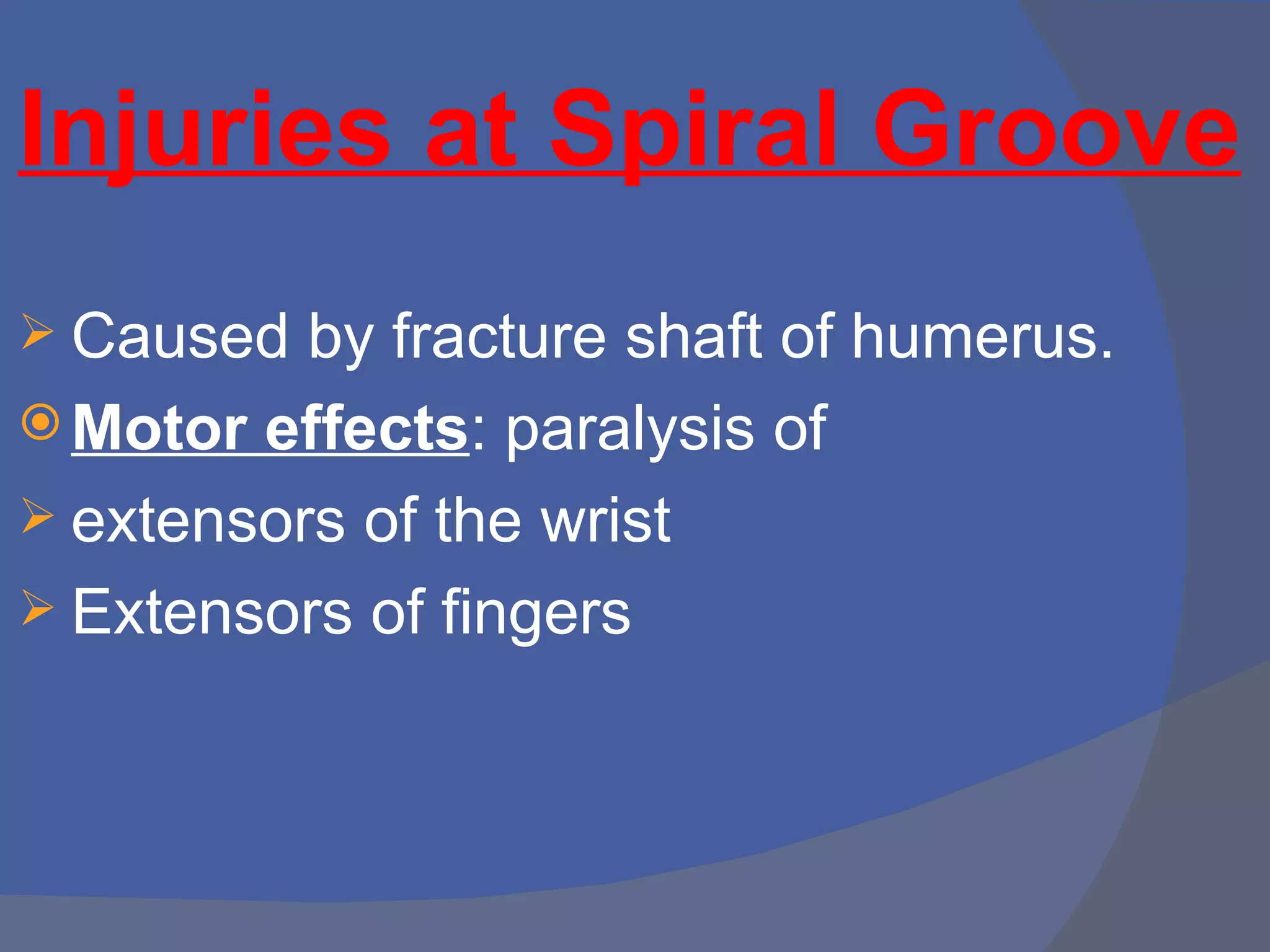 Injuries at Spiral Groove
 Caused  by fracture shaft of humerus.
 Motor effects: paralysis of
 extensors of the wrist
 Extensors of fingers
 