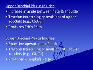 Upper Brachial Plexus Injuries
• Increase in angle between neck & shoulder
• Traction (stretching or avulsion) of upper
rootlets (e.g., C5,C6)
• Produces Erb’s Palsy
Lower Brachial Plexus Injuries
• Excessive upward pull of limb
• Traction (stretching or avulsion) of lower
rootlets (e.g., C8, T1)
• Produces Klumpke’s Palsy
 