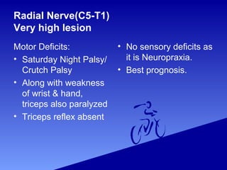 Radial Nerve(C5-T1)
Very high lesion
Motor Deficits:
• Saturday Night Palsy/
Crutch Palsy
• Along with weakness
of wrist & hand,
triceps also paralyzed
• Triceps reflex absent
• No sensory deficits as
it is Neuropraxia.
• Best prognosis.
 