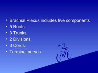 • Brachial Plexus includes five components
• 5 Roots
• 3 Trunks
• 2 Divisions
• 3 Cords
• Terminal nerves
 