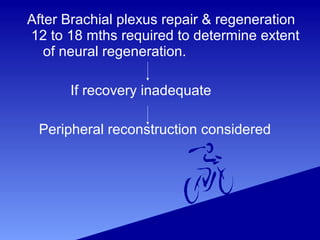 After Brachial plexus repair & regeneration
12 to 18 mths required to determine extent
of neural regeneration.
If recovery inadequate
Peripheral reconstruction considered
 