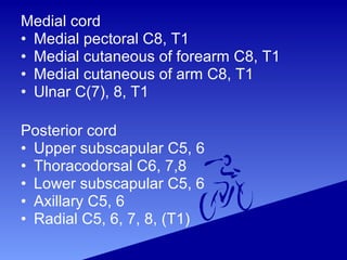 Medial cord
• Medial pectoral C8, T1
• Medial cutaneous of forearm C8, T1
• Medial cutaneous of arm C8, T1
• Ulnar C(7), 8, T1
Posterior cord
• Upper subscapular C5, 6
• Thoracodorsal C6, 7,8
• Lower subscapular C5, 6
• Axillary C5, 6
• Radial C5, 6, 7, 8, (T1)
 