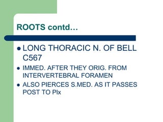 ROOTS contd…
 LONG THORACIC N. OF BELL
C567
 IMMED. AFTER THEY ORIG. FROM
INTERVERTEBRAL FORAMEN
 ALSO PIERCES S.MED. AS IT PASSES
POST TO Plx
 