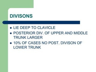 DIVISONS
 LIE DEEP TO CLAVICLE
 POSTERIOR DIV. OF UPPER AND MIDDLE
TRUNK LARGER
 10% OF CASES NO POST. DIVISON OF
LOWER TRUNK
 